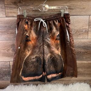 Men’s Novelty Hippo Swim Trunks Shorts, Brown, Size Large
